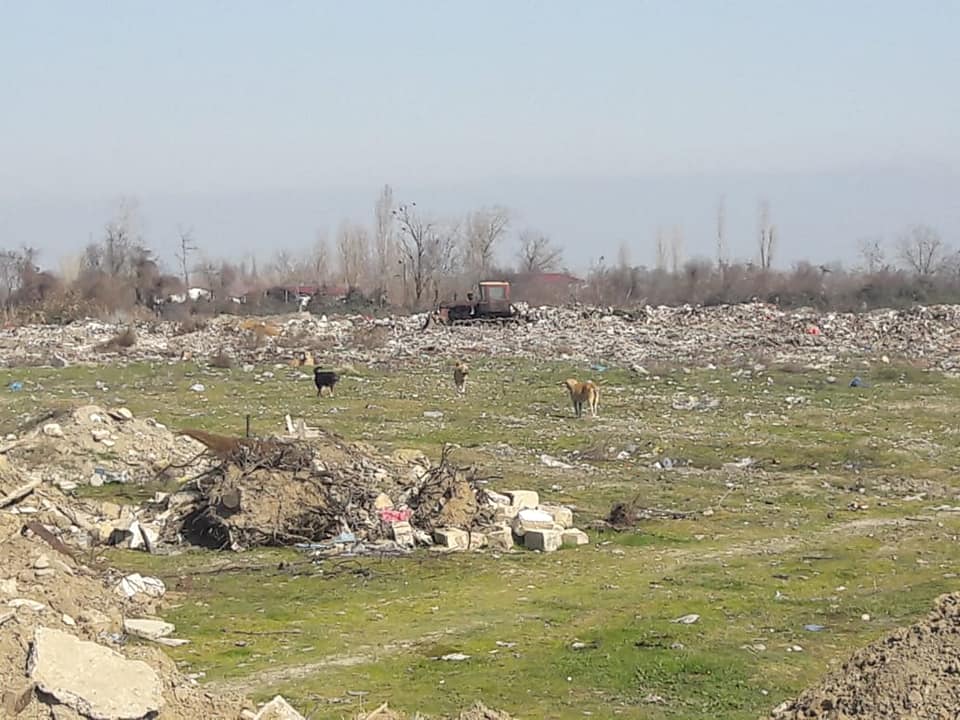 52812903_2534776593231453_7778163172938088448_n (1).jpg