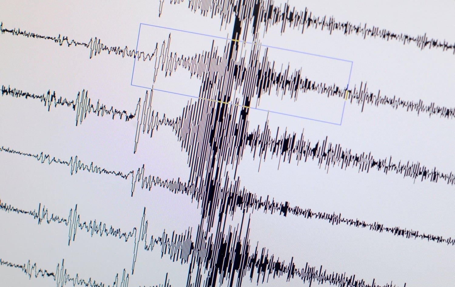 A monitor displays the seismological chart of the earthquake which hit Japan on March 11, 2011 at the Geozentrum geological science center in Hanover, central Germany. At least 40 people were killed and 39 missing in the massive 8.9-magnitude earthquake t