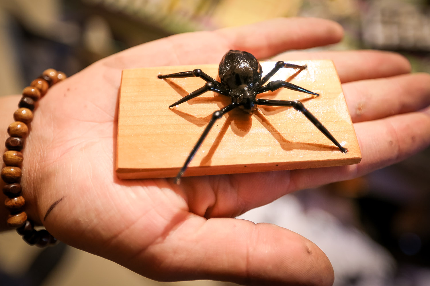 A spider made out of a peach seed