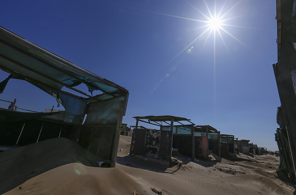 CHimerlik movzumu (1).jpg