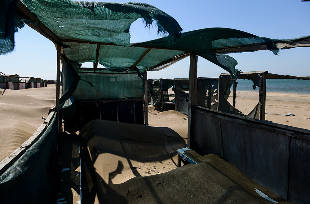 CHimerlik movzumu (11).jpg