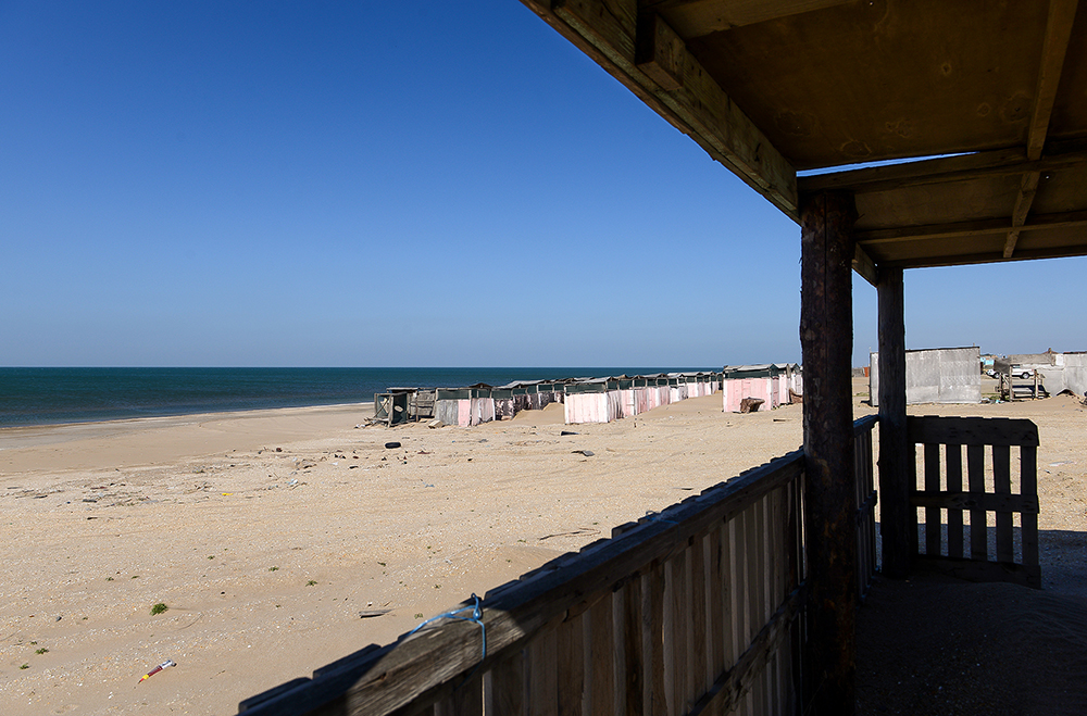 CHimerlik movzumu (13).jpg