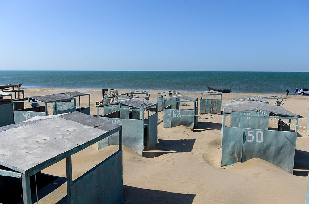 CHimerlik movzumu (14).jpg