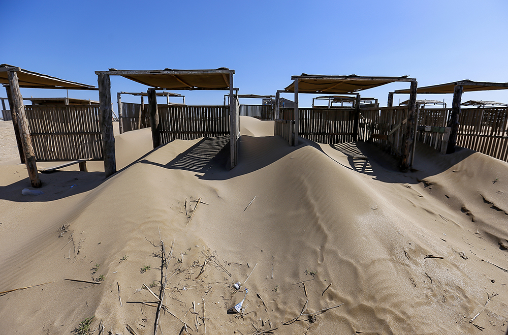 CHimerlik movzumu (3).jpg