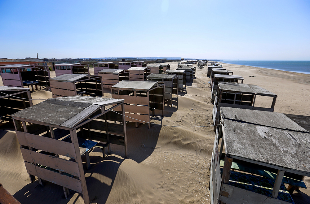 CHimerlik movzumu (5).jpg