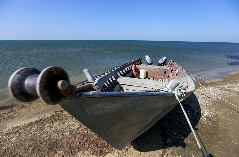 CHimerlik movzumu (6).jpg