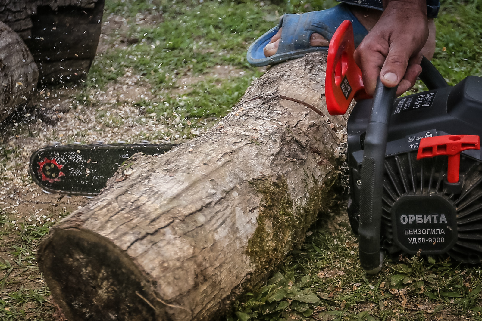 Əfqan Əliyev qurumuş ağacları mişarla kəsir