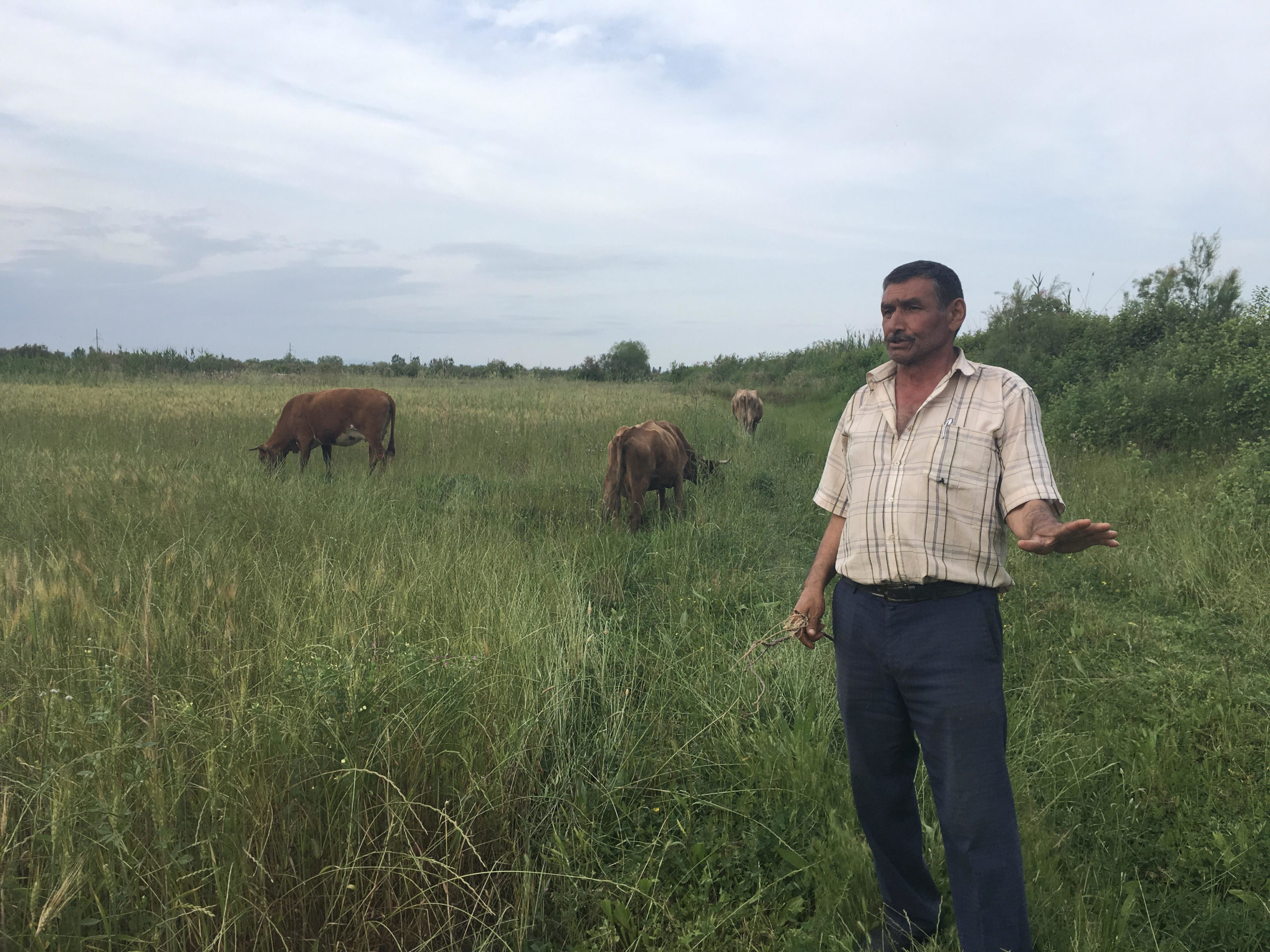 Əzizağa Cahangirov