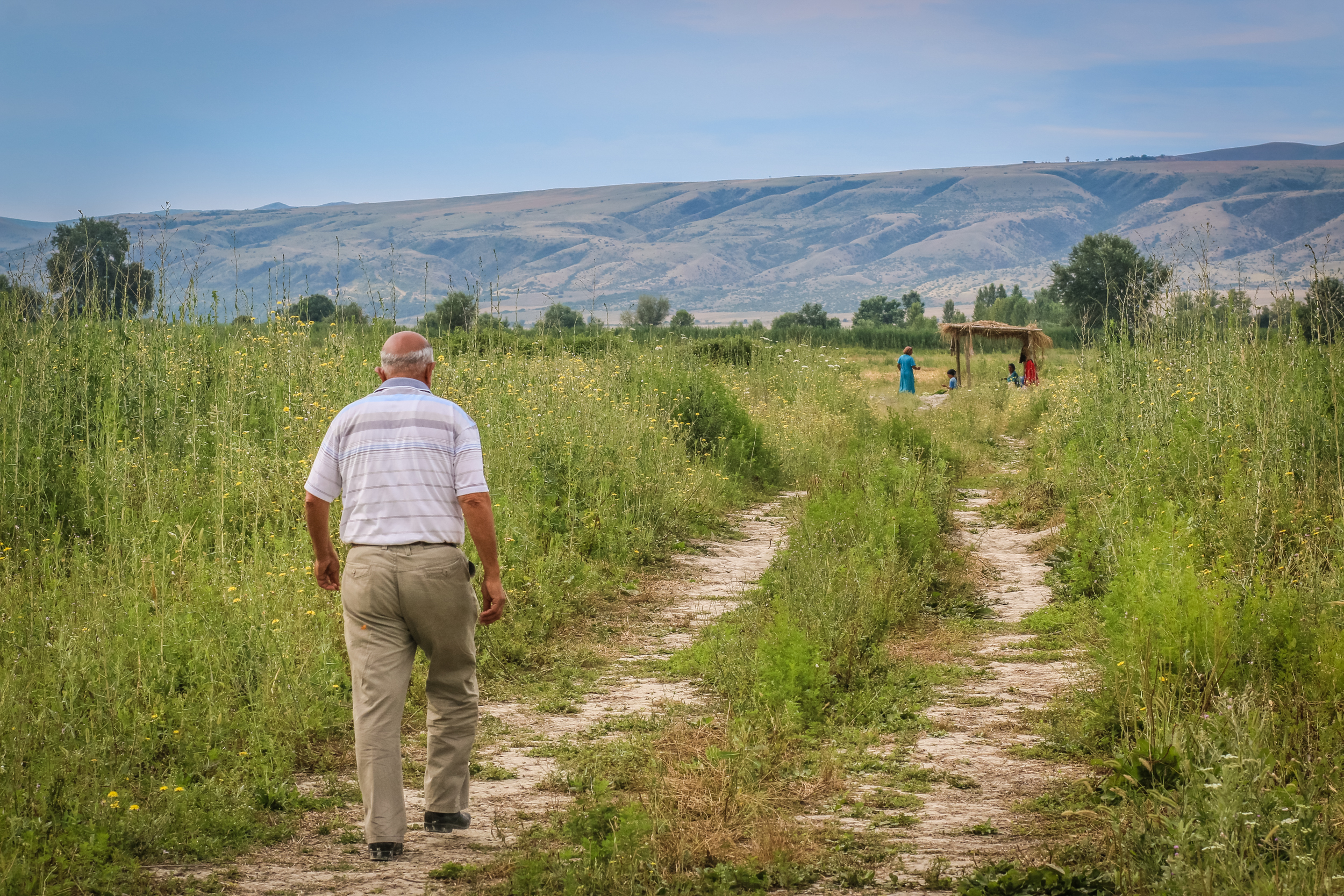 Fermerler hər gün saat 9-dan axşam 6-ya kimi tütün sahələrində işləyirlər