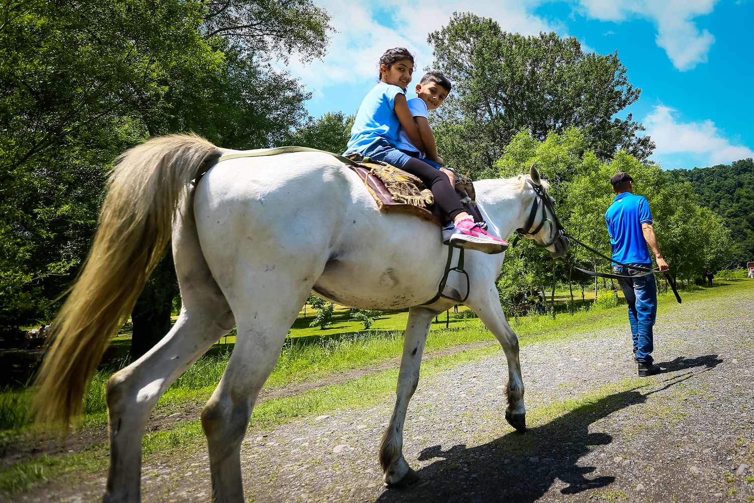Gölə gələn qonaqlar əlavə əyləncə kimi atdan istifadə edirlər
