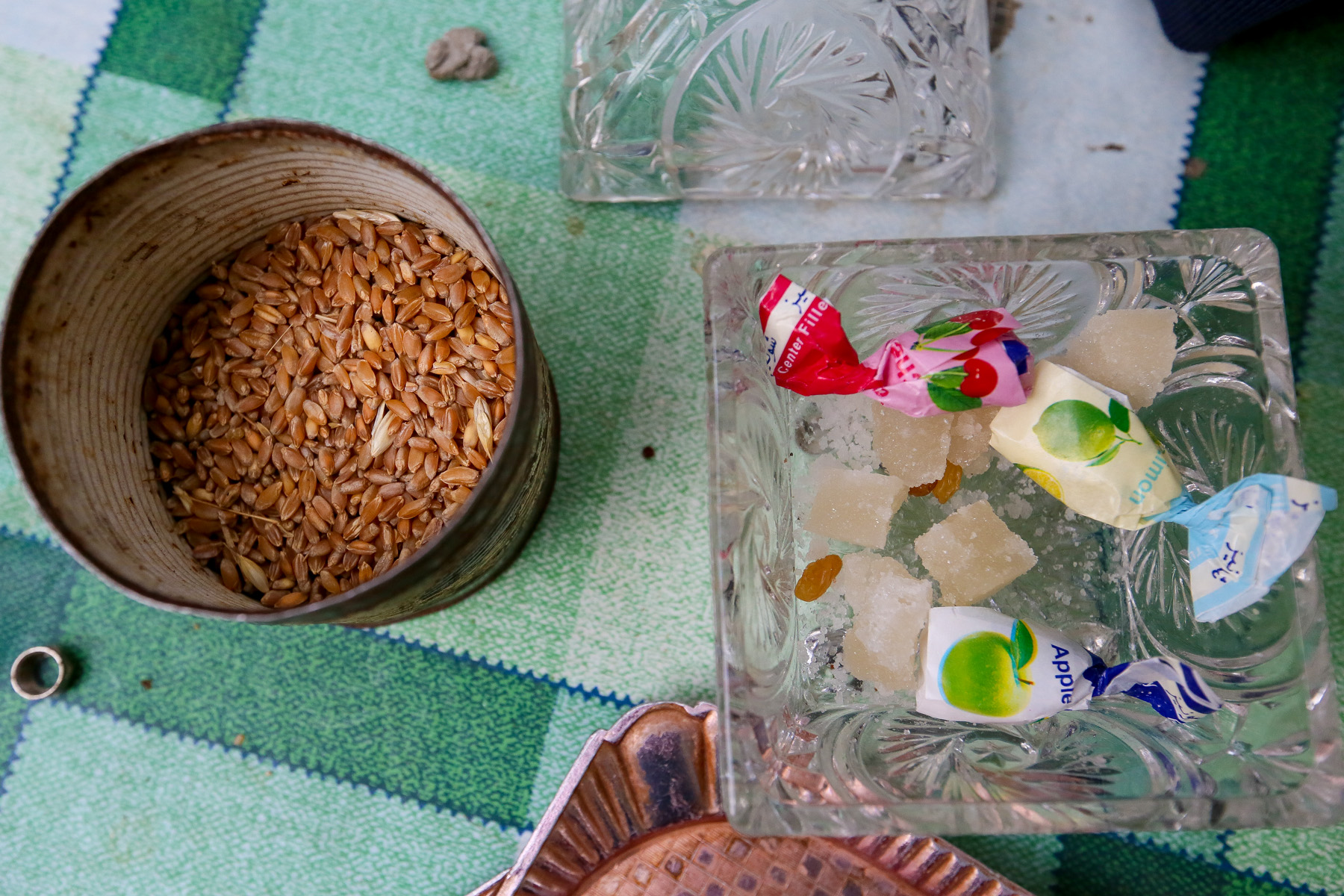 ”Hər gün 4-5 dəfə yem verirəm”