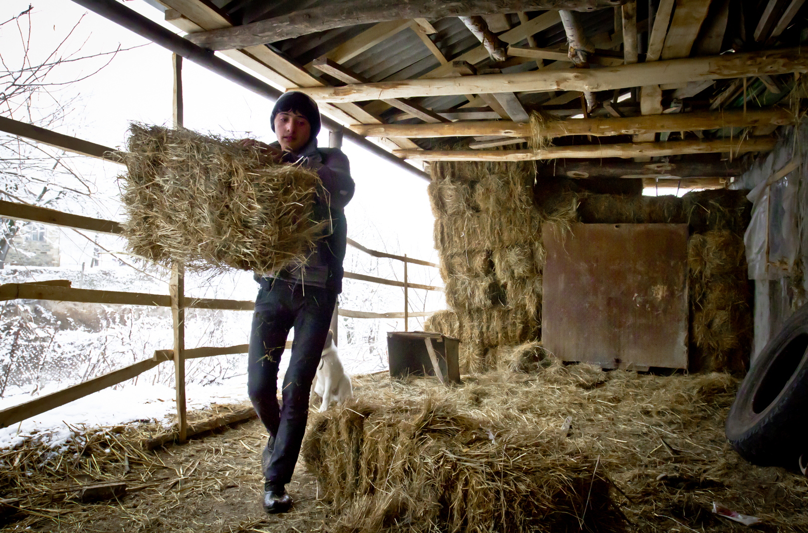 Həsən evin böyük oğlu olduğundan daha ağır işləri özü edir