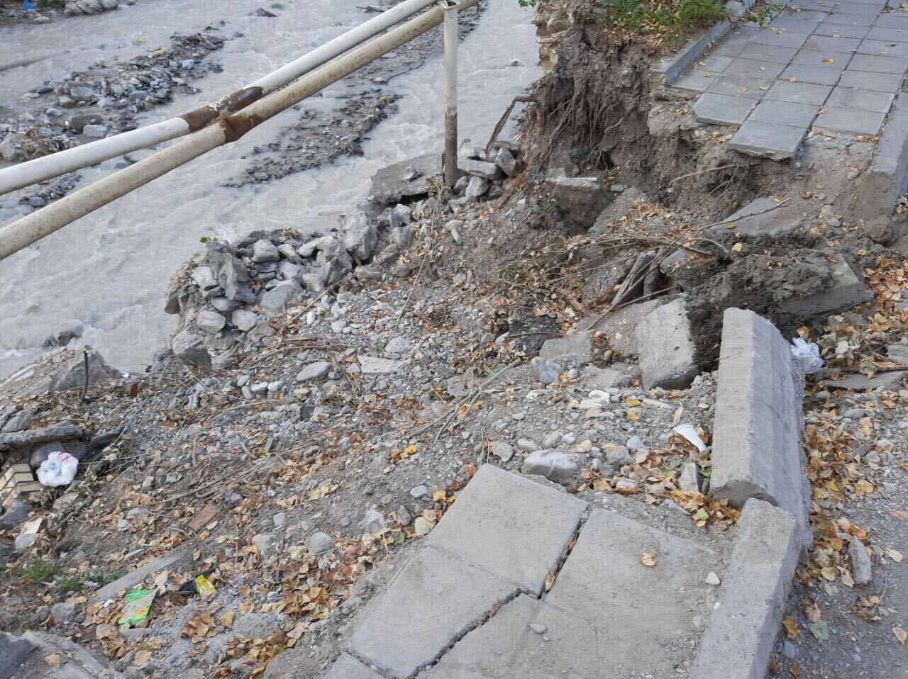 Image from iOS (11).jpg