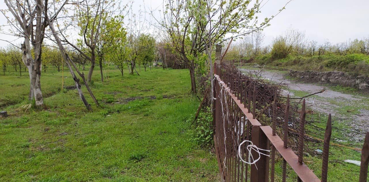 Image from iOS (127).jpg