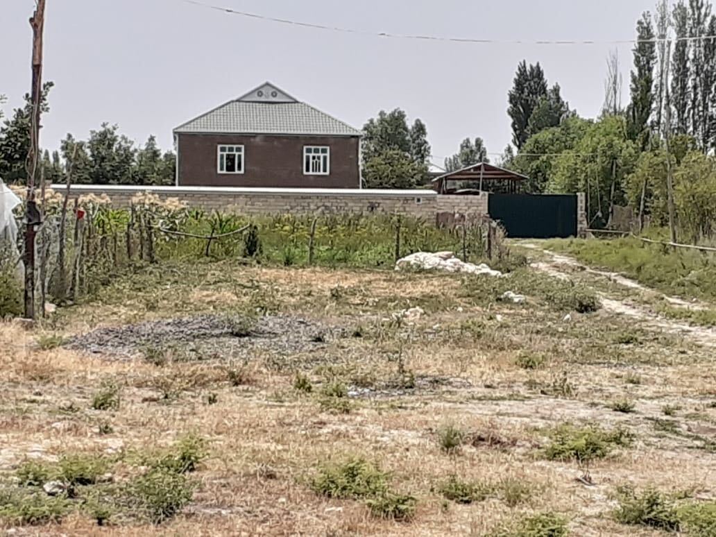 Image from iOS (143).jpg