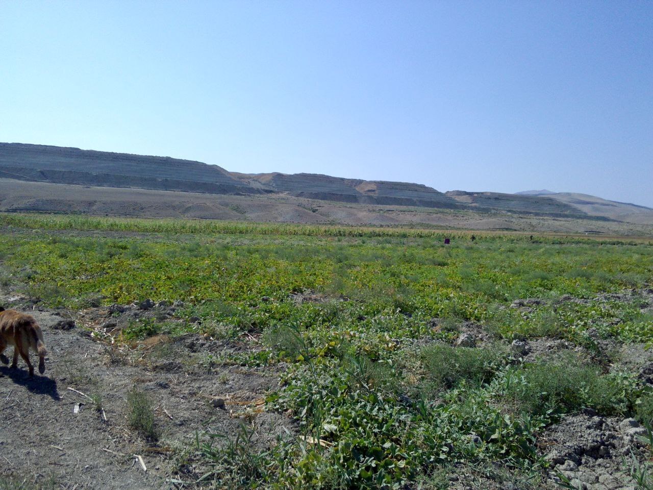 image00019.jpeg