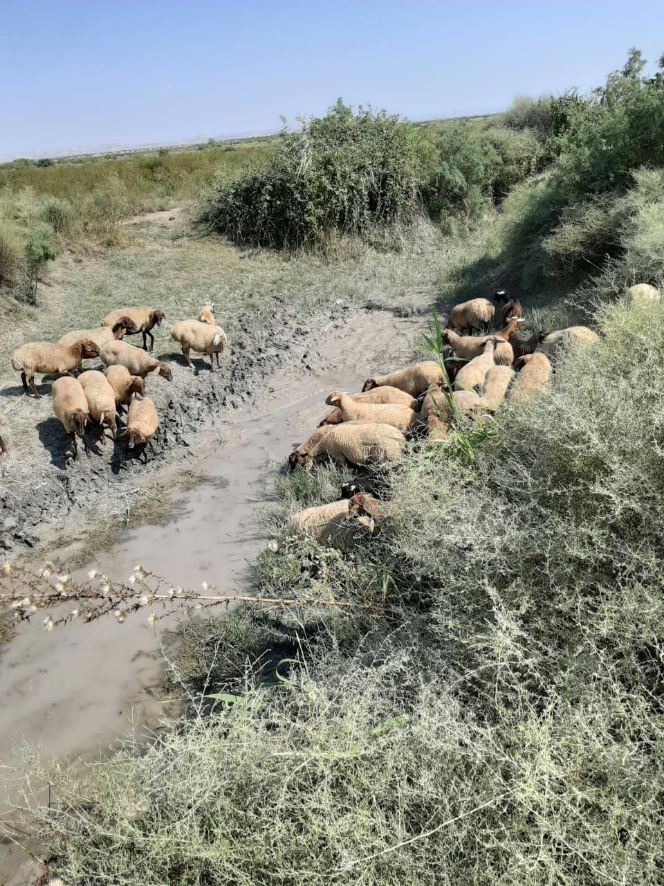 image_from_ios (1).jpg