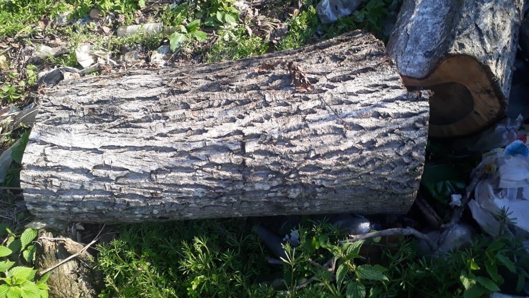 image_from_ios (2).jpg