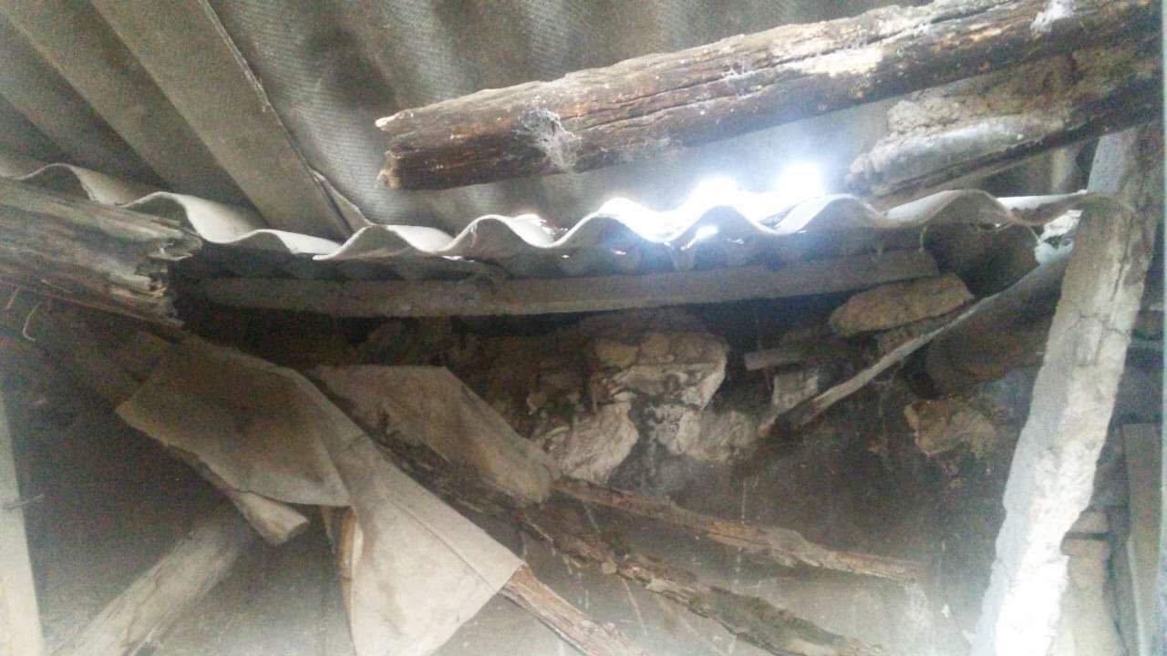 image_from_ios (2).jpg