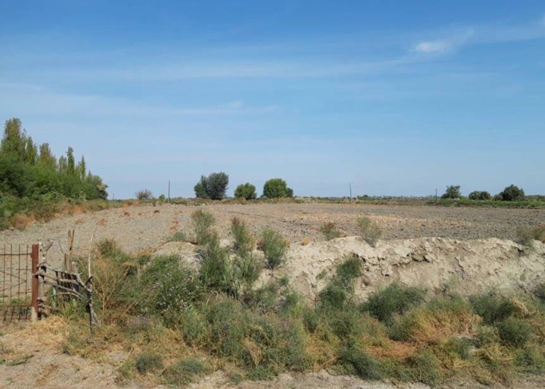 image_from_ios (3).jpg