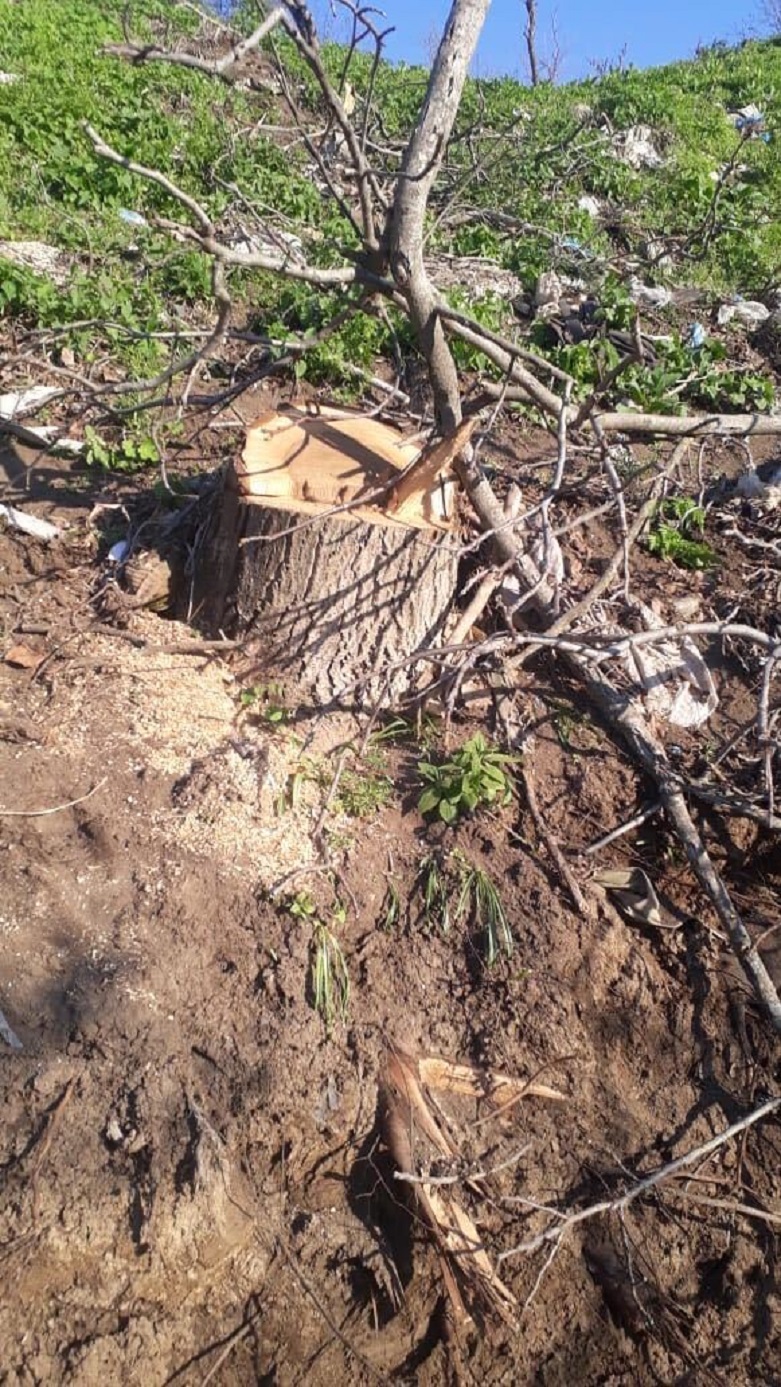 image_from_ios (3).jpg