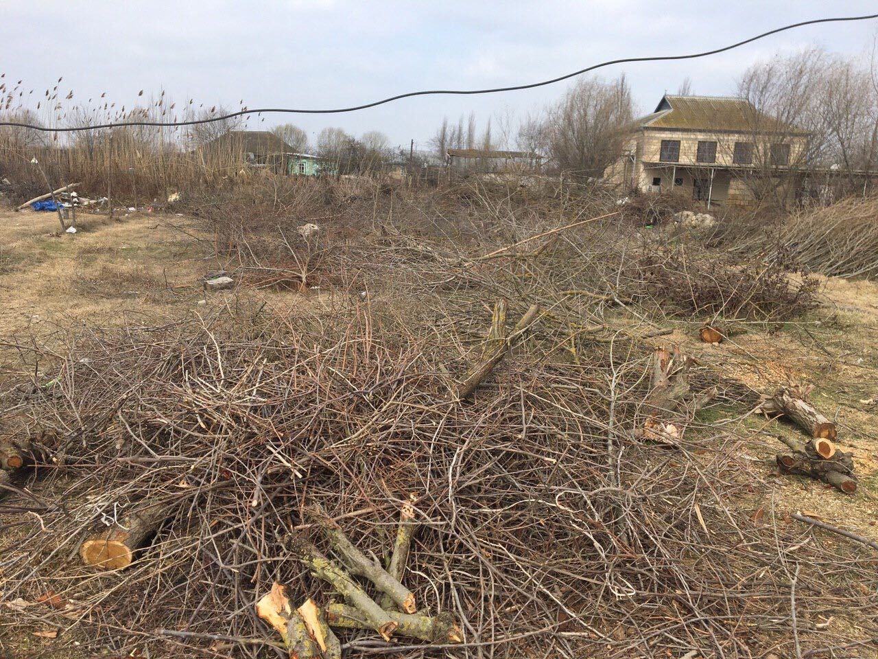 image_from_ios (4).jpg