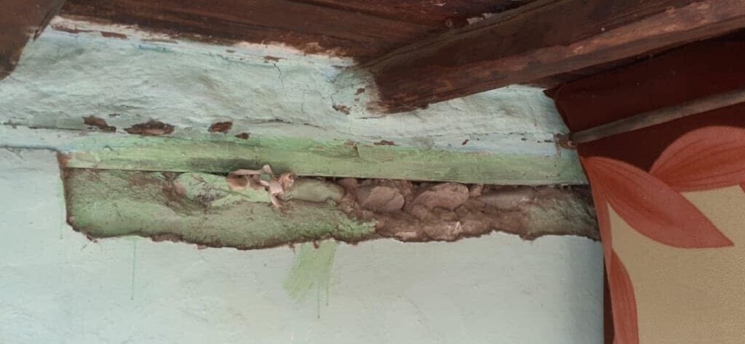 image_from_ios (4).jpg