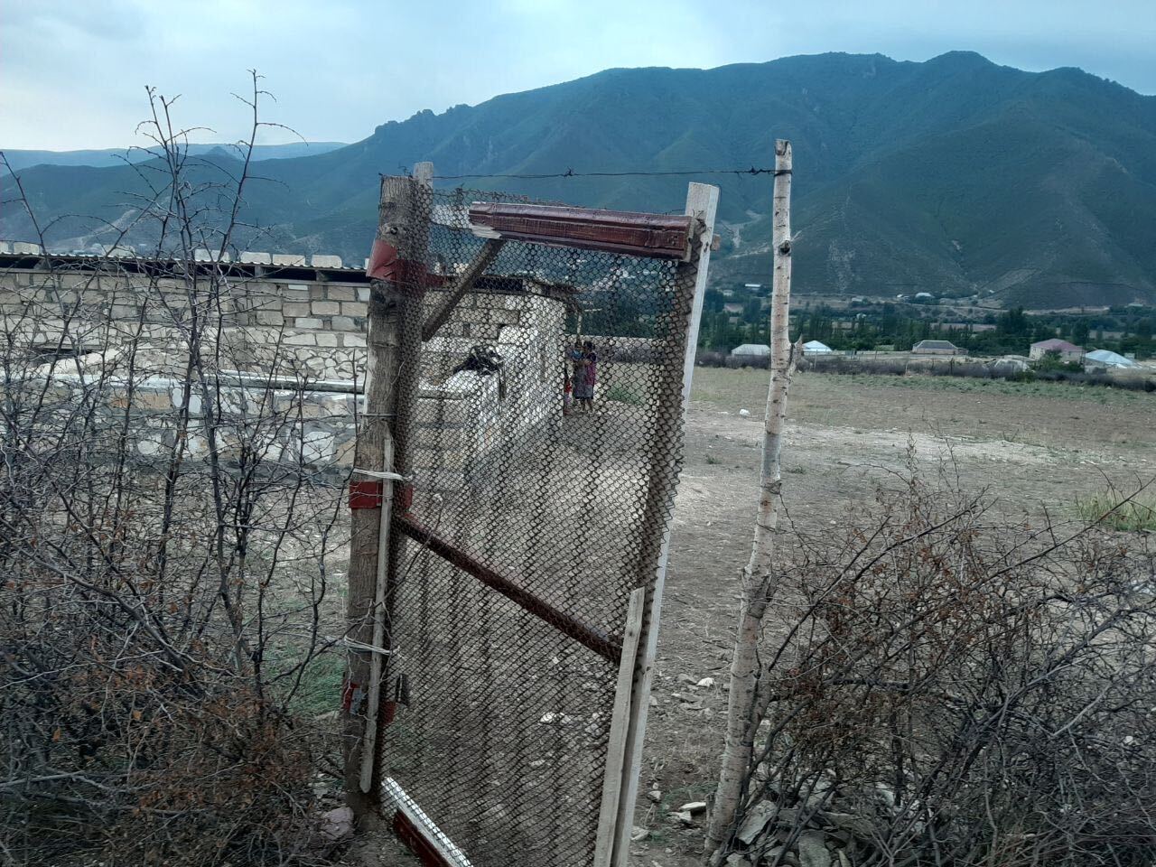 image_from_ios (4).jpg