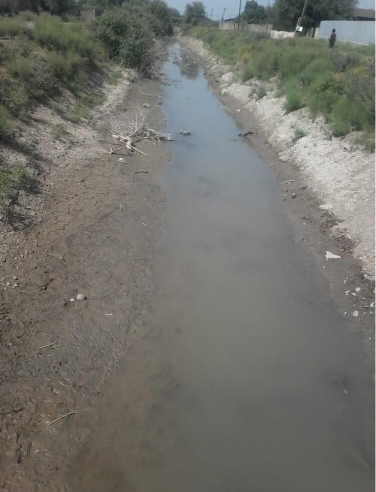 image_from_ios (4).jpg