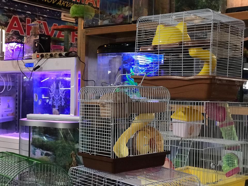 image_from_ios (4).jpg