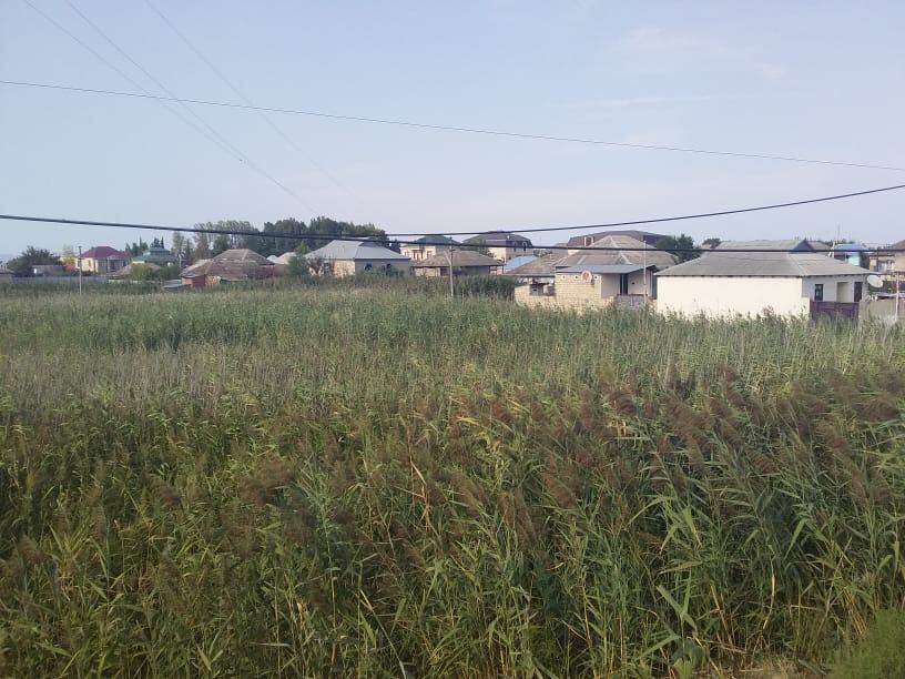 image_from_ios (5).jpg