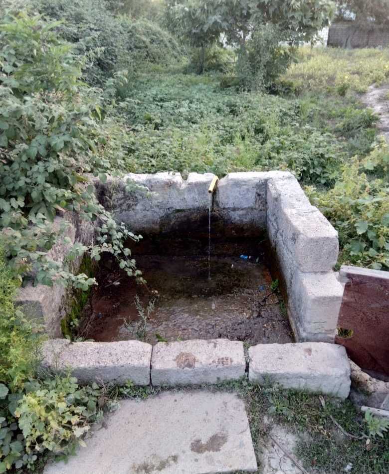 image_from_ios (5).jpg