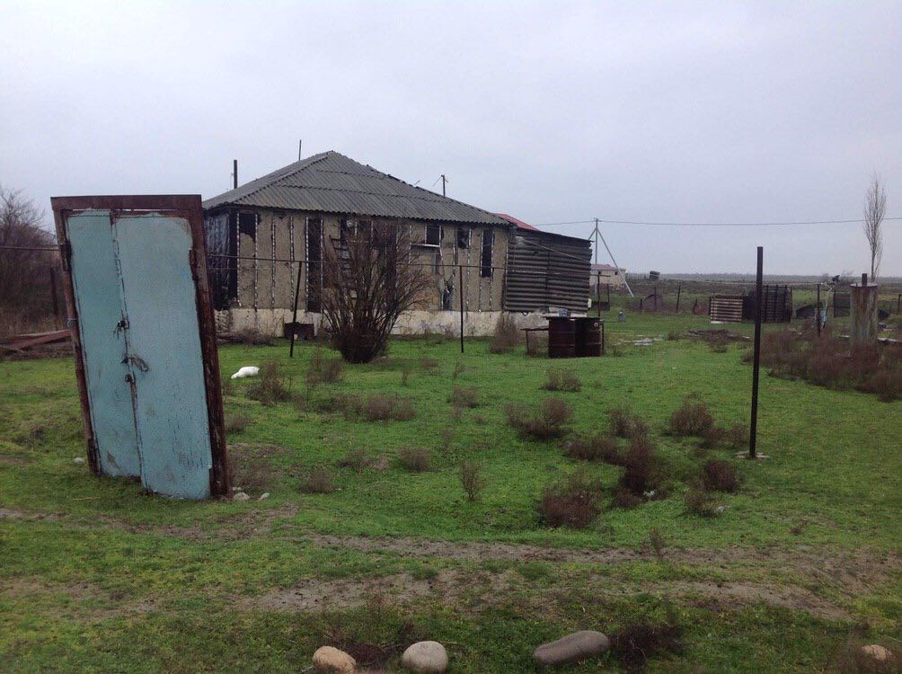 image_from_ios (5).jpg