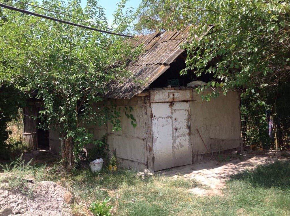 image_from_ios (6).jpg