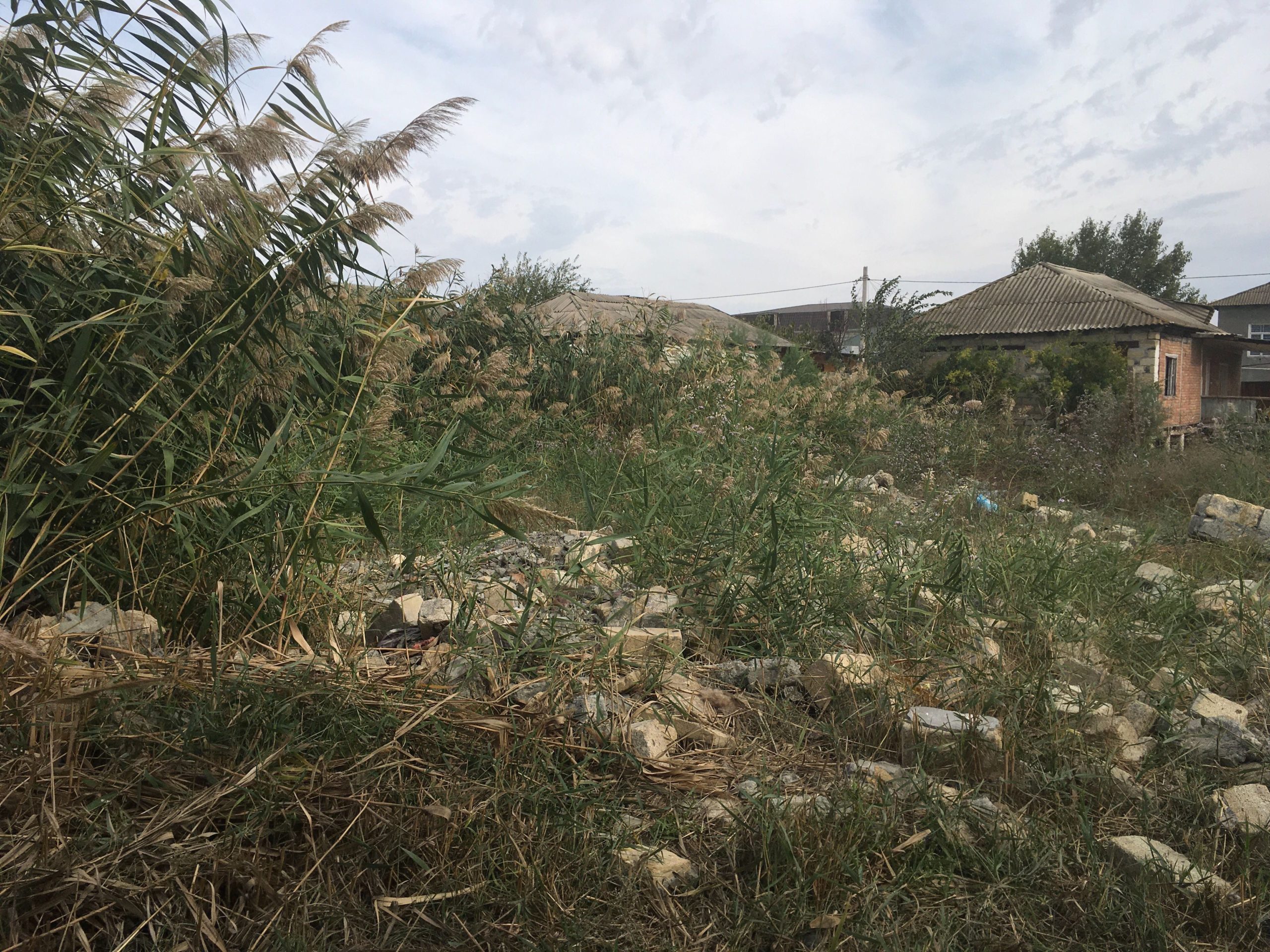 image_from_ios (7).jpg