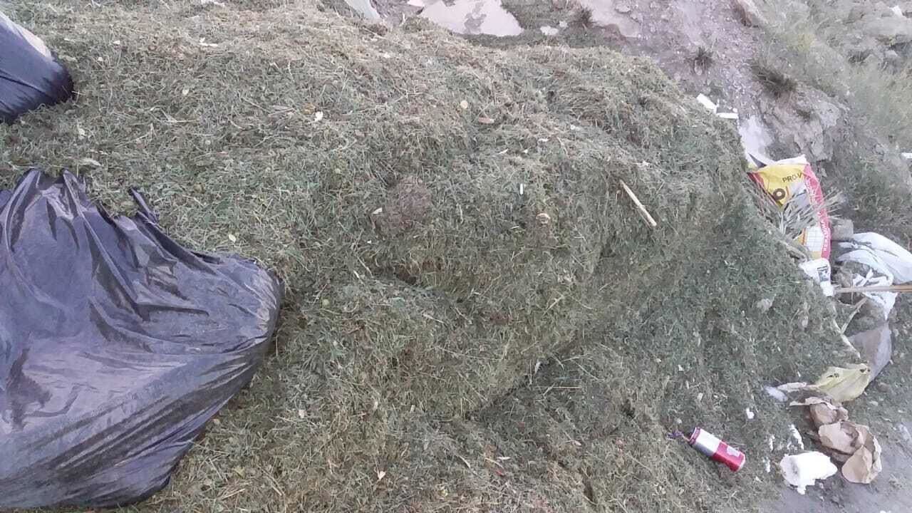 image_from_ios (7).jpg