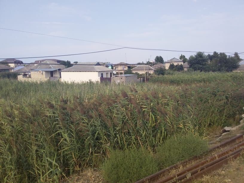 image_from_ios (7).jpg