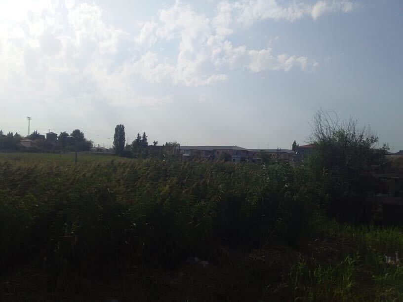 image_from_ios (8).jpg