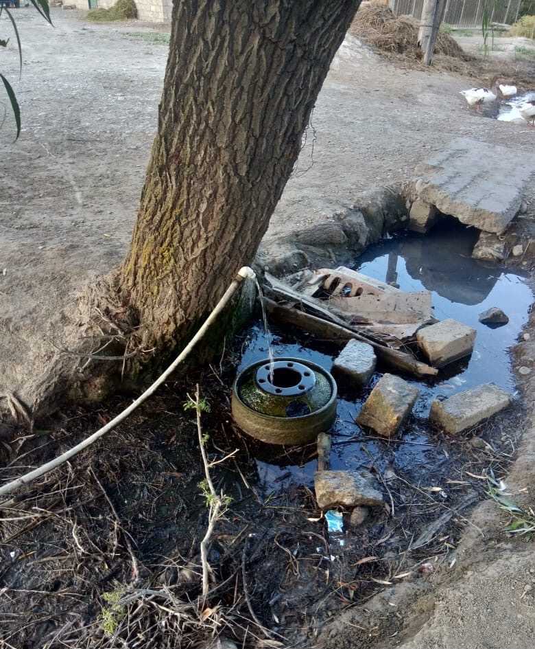 image_from_ios (8).jpg