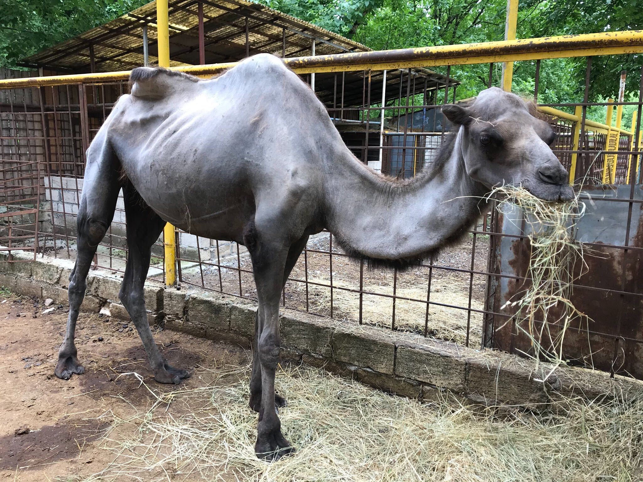 image_from_ios__4_ (1).jpg