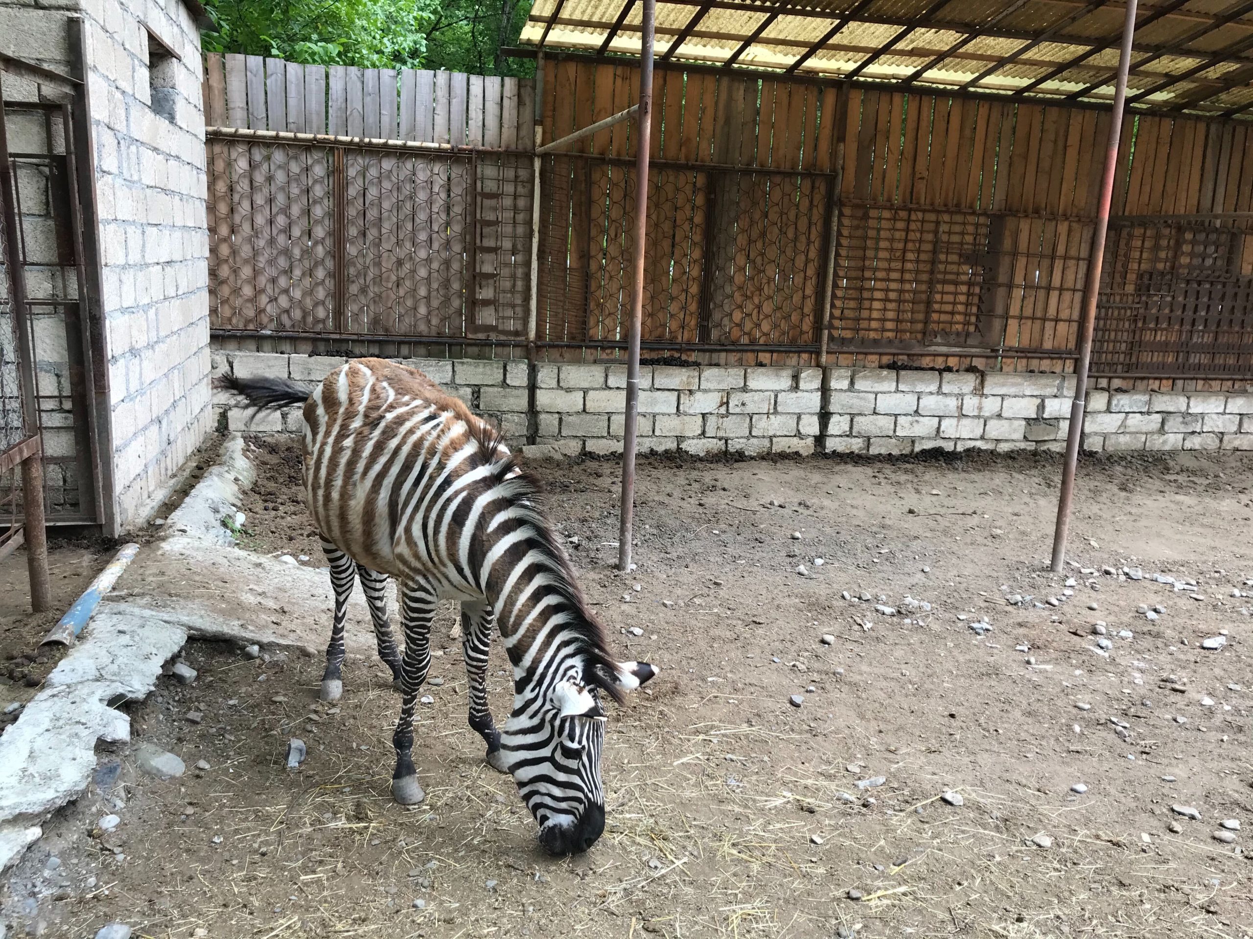 image_from_ios__6_ (1).jpg