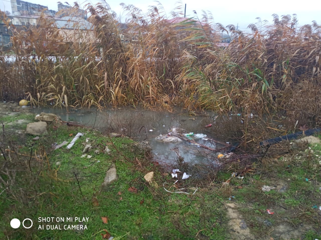 IMG-20201224-WA0011.jpg