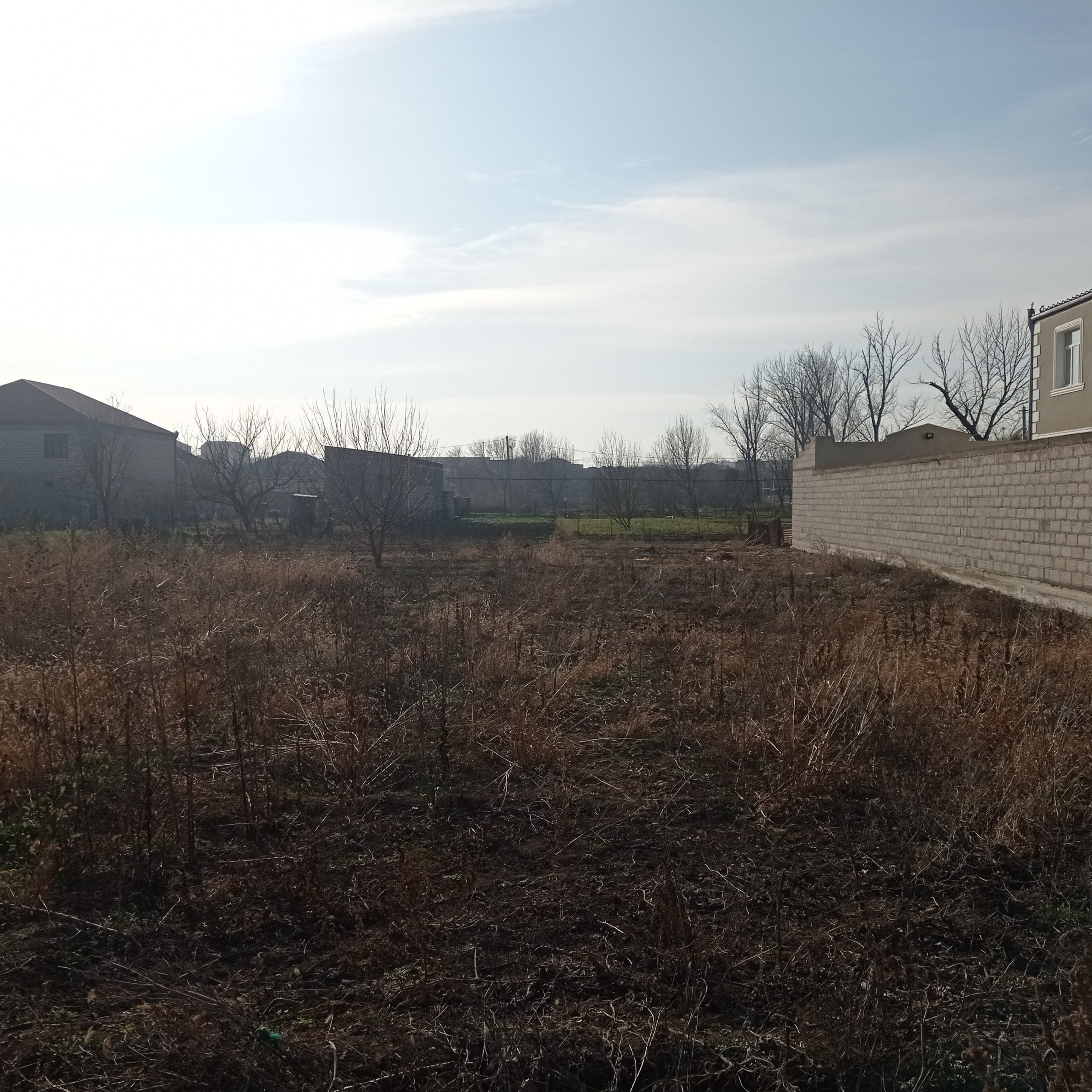 img_20210212_155426.jpg