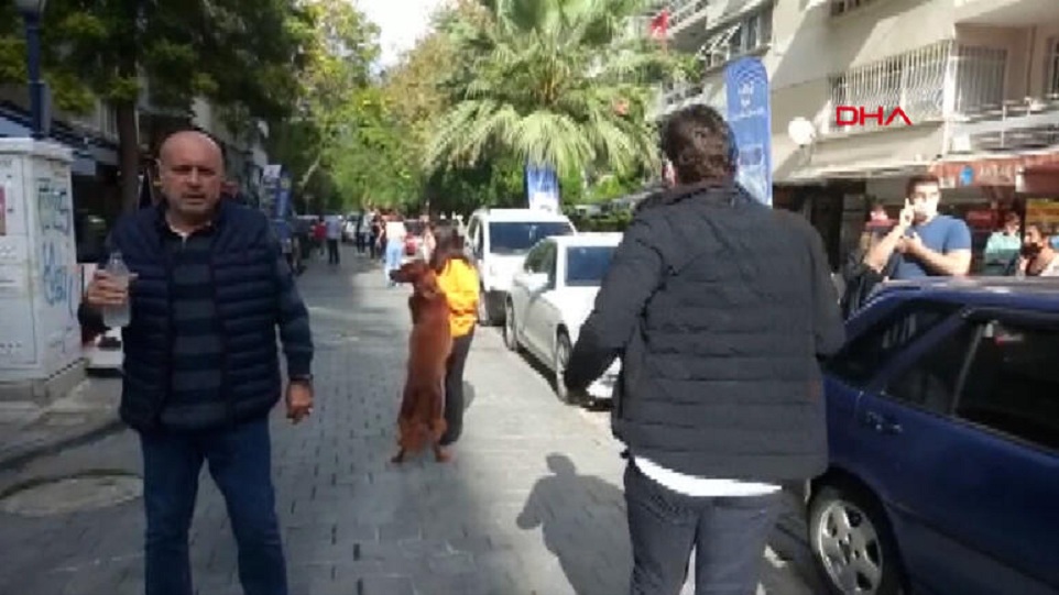 izmir2.jpg