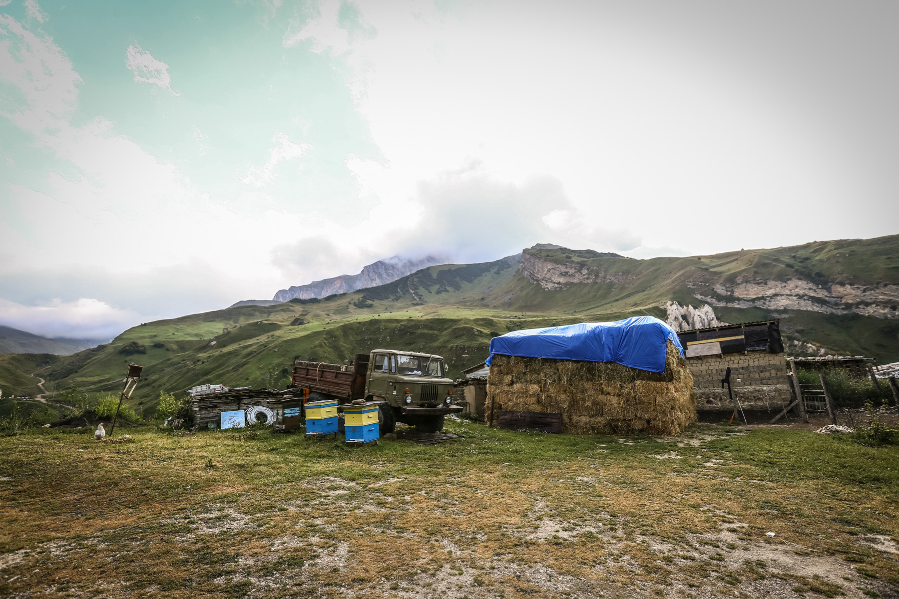 Kənd sakinlərinin əsas məşğuliyyəti maldarlıq olduğundan heyvanları üçün əlavə ehtiyat yem toplayıblar