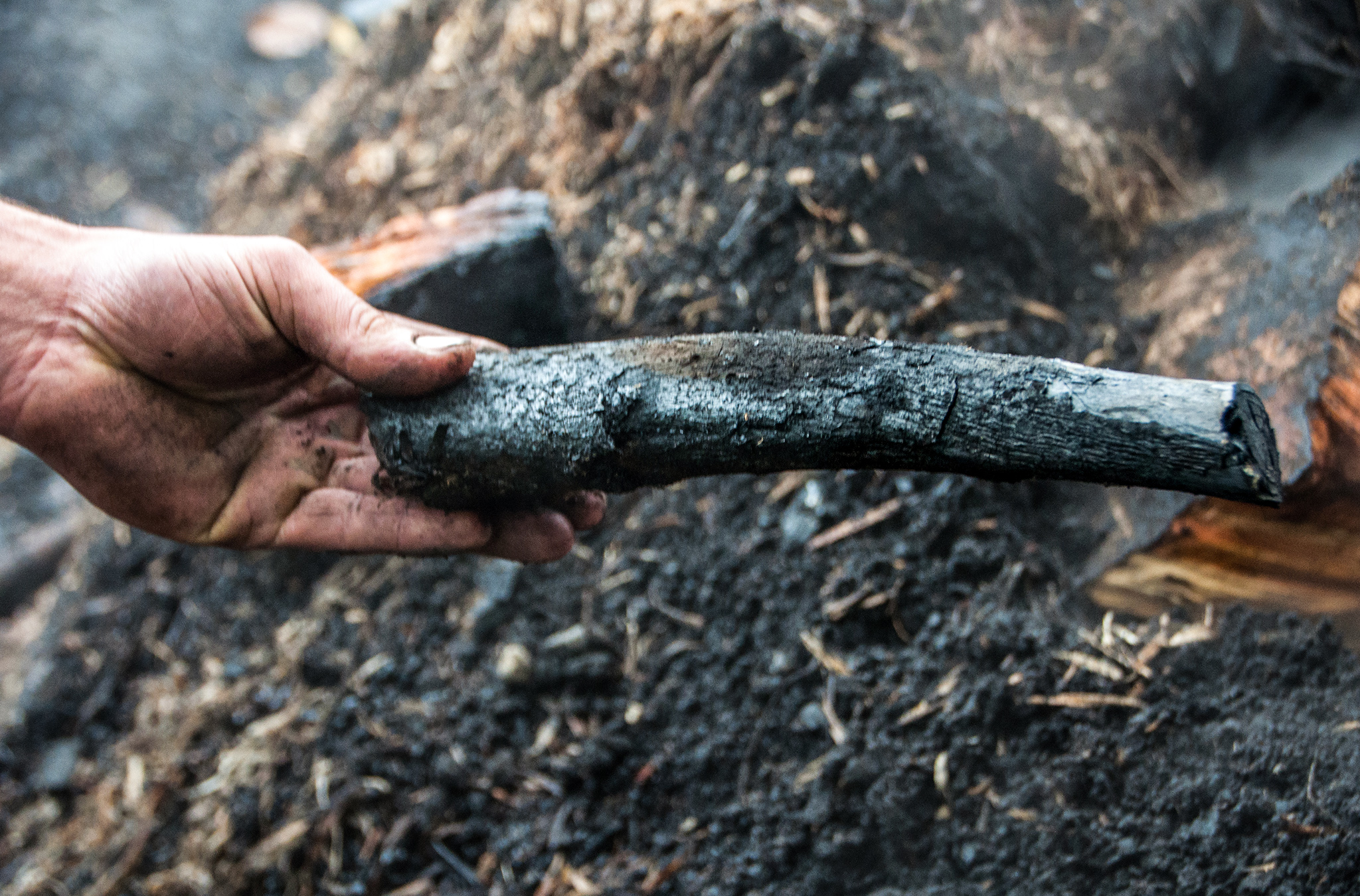 Kömür artıq hazırdır