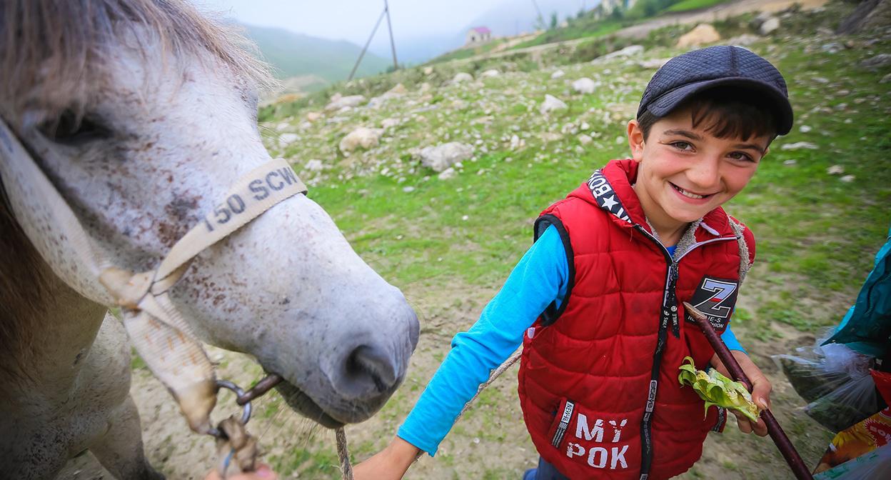 Мальчик предлагает туристам конную прогулку или фото с лошадью