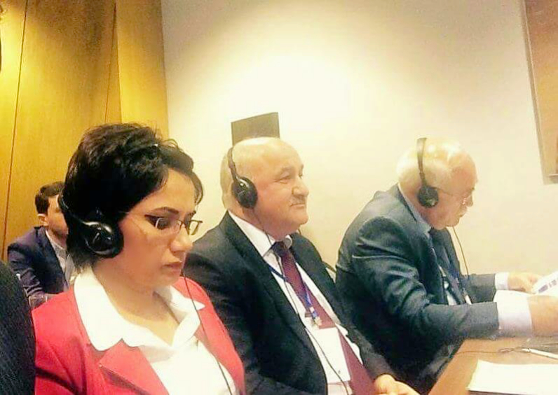 На конференции проводимой ALDE (Альянс либералов и демократов за Европу), с башганом партии Мусават Арифом Гаджили и председателем Центра национально-cтратегических исследований Иса Гамбаром, март 2016, Тбилиси, Грузия