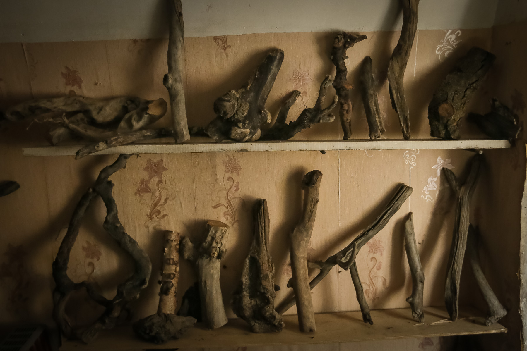 Növbəti işləri üçün hazırlayacağı ağacları emalatxanasının bir otağına qoyub ki, hissə-hissə işləsin