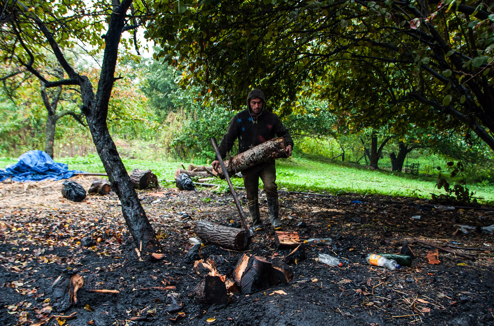 Nurlanın  sözlərinə görə, meşədən heç bir sağlam ağacı kəsmirlər